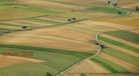 Komplo Tankovo, bölge Burgaz 1