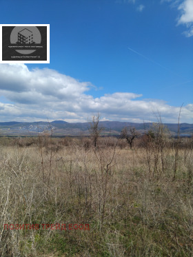 ����� ������� ������,��. �������� ����, ������ ���������