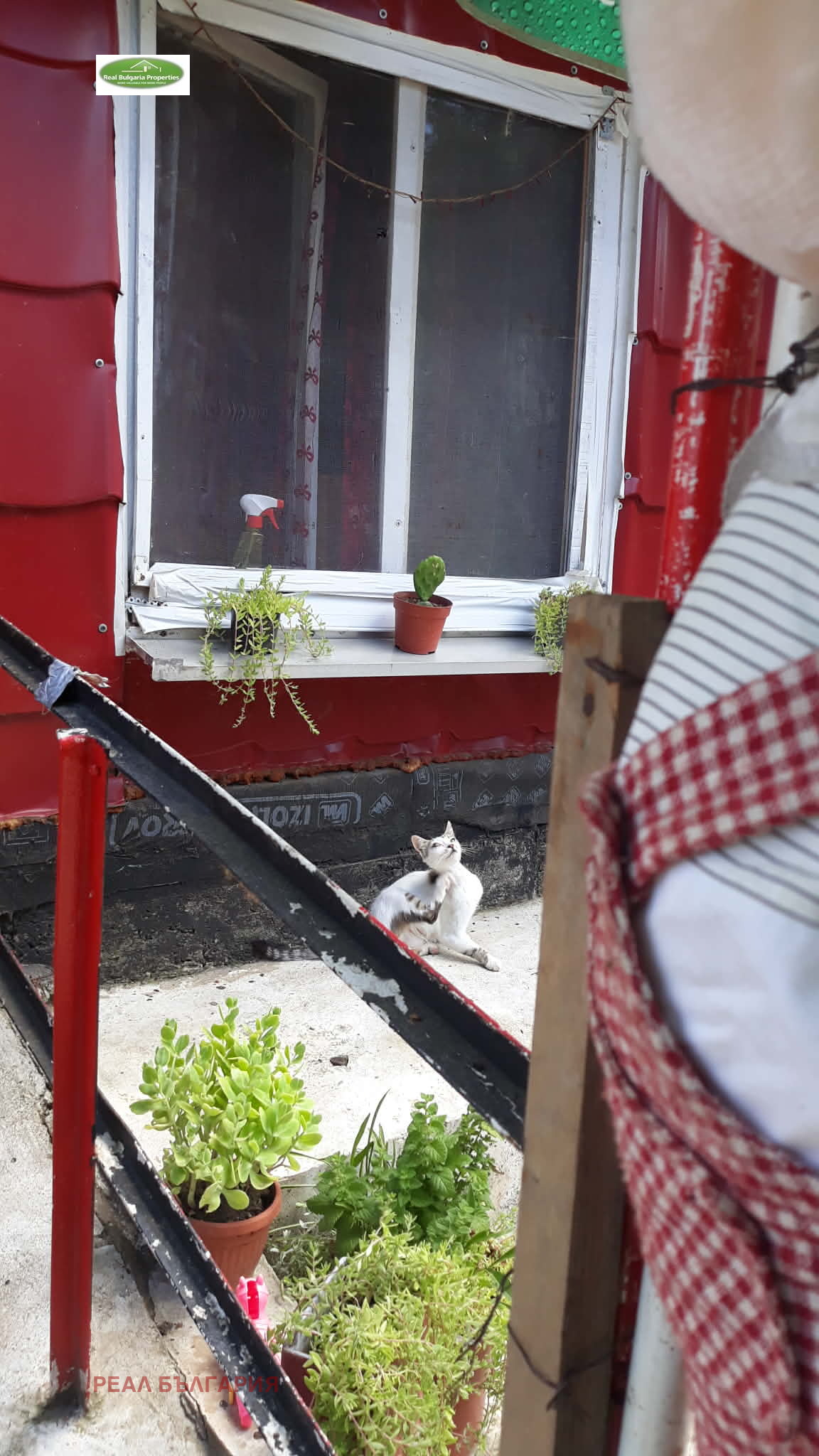 ������� ���� | Imot.bg � ����������� 3