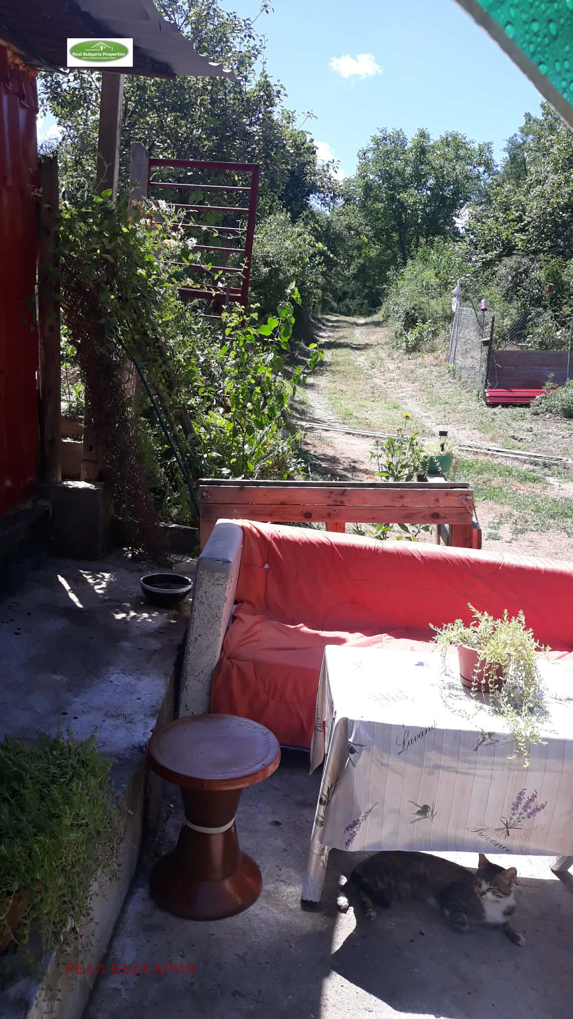 ������� ���� | Imot.bg � ����������� 17