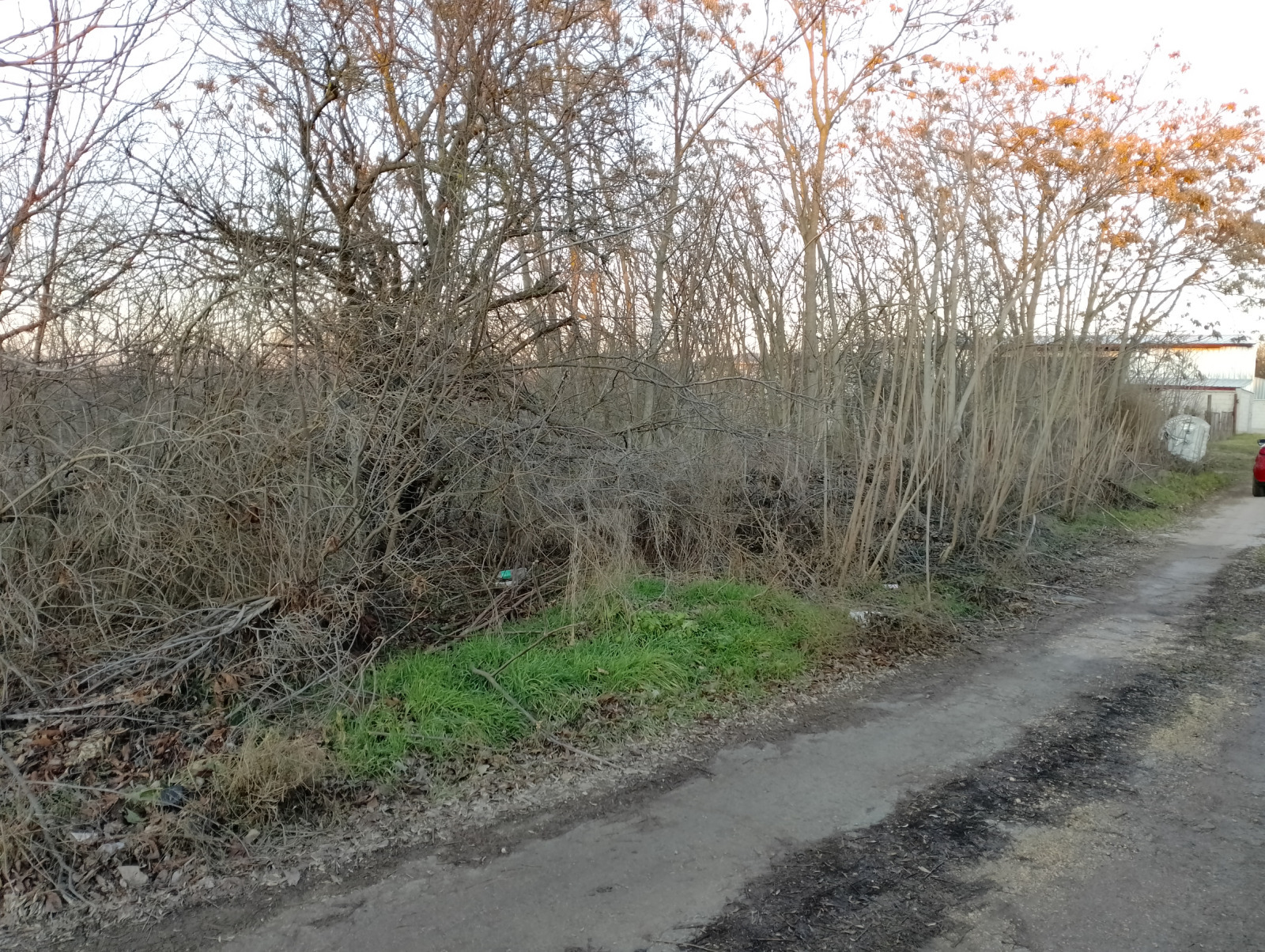 ������� ������ | Imot.bg � ����������� 10