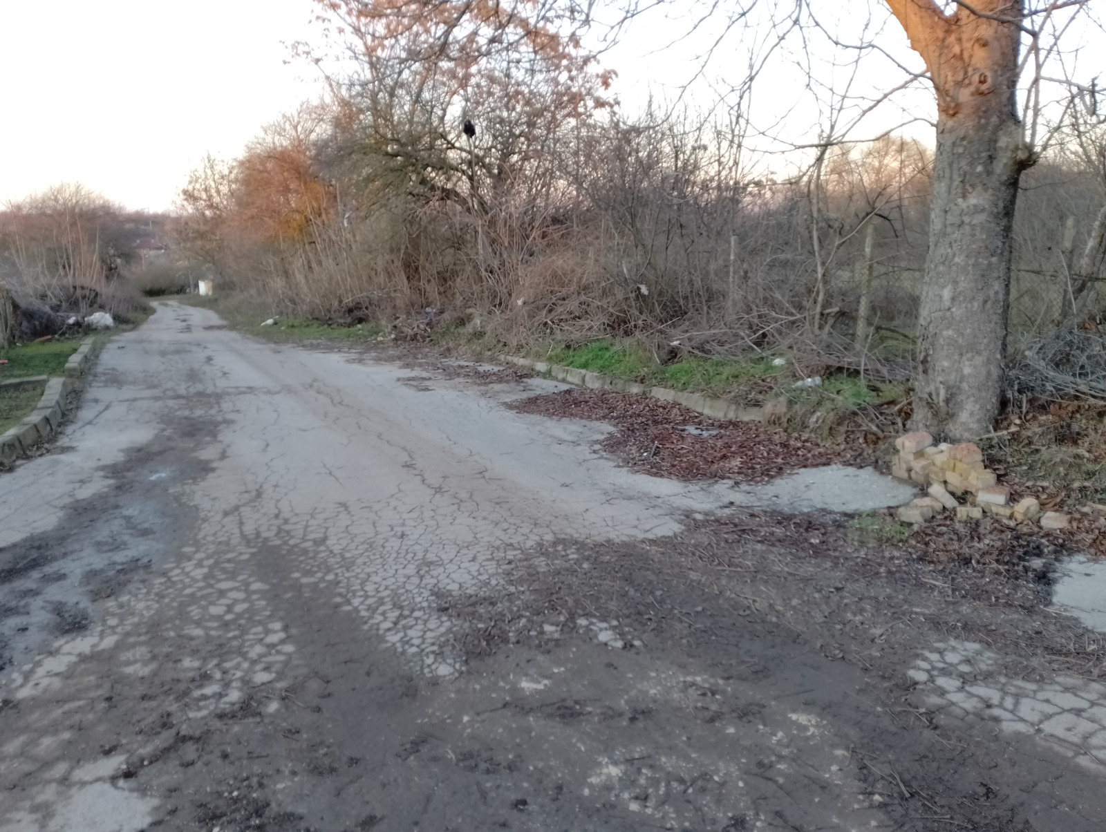 ������� ������ | Imot.bg � ����������� 13