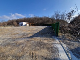 Hus Svishtov, region Veliko Tarnovo 3