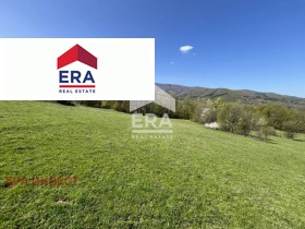 ����� ������� ������,��. ������, ������ �����