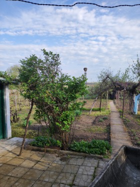 ������� ���� | Imot.bg � ����� ������ 12
