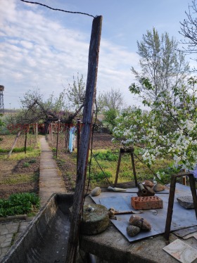 ������� ���� | Imot.bg � ����� ������ 8