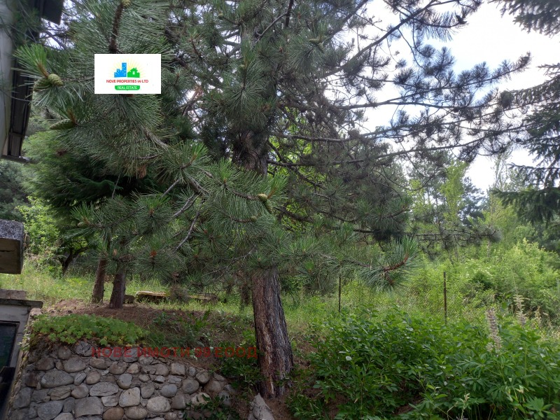 На продаж  Будинок область София , Белчин , 80 кв.м | 97741659 - зображення [6]