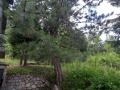 Продава КЪЩА, област София, с. Белчин • 42000 € • 35588270 — Holmes.bg
