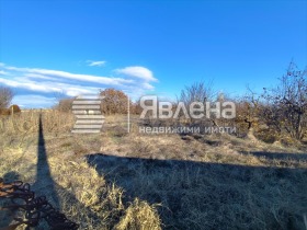 Grund Tseretelevo, region Plovdiv 1