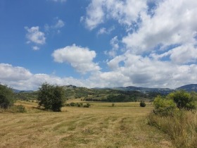 À venda Trama