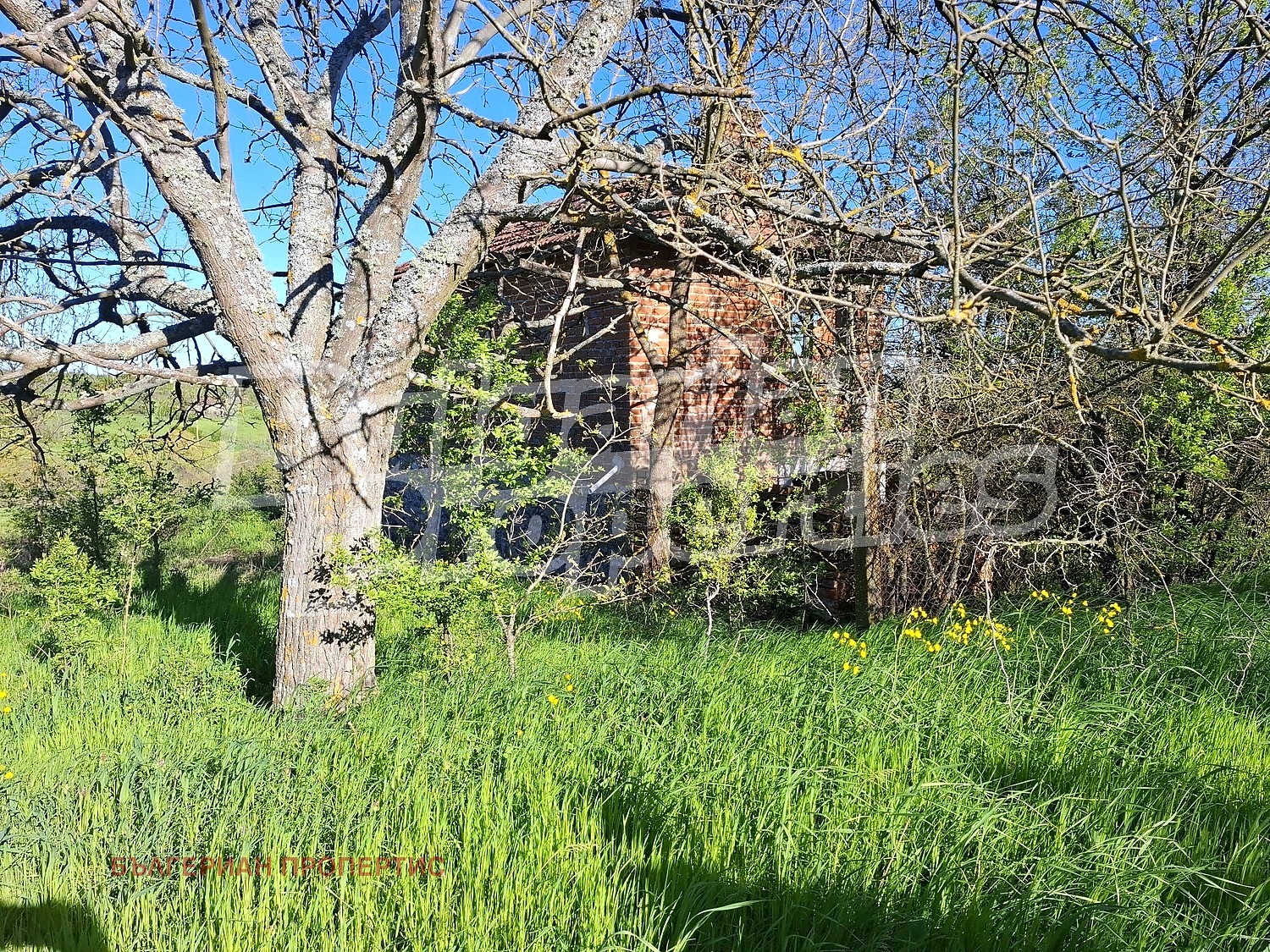Продава КЪЩА, с. Александрово, област Ямбол, снимка 5 - Къщи - 54814512