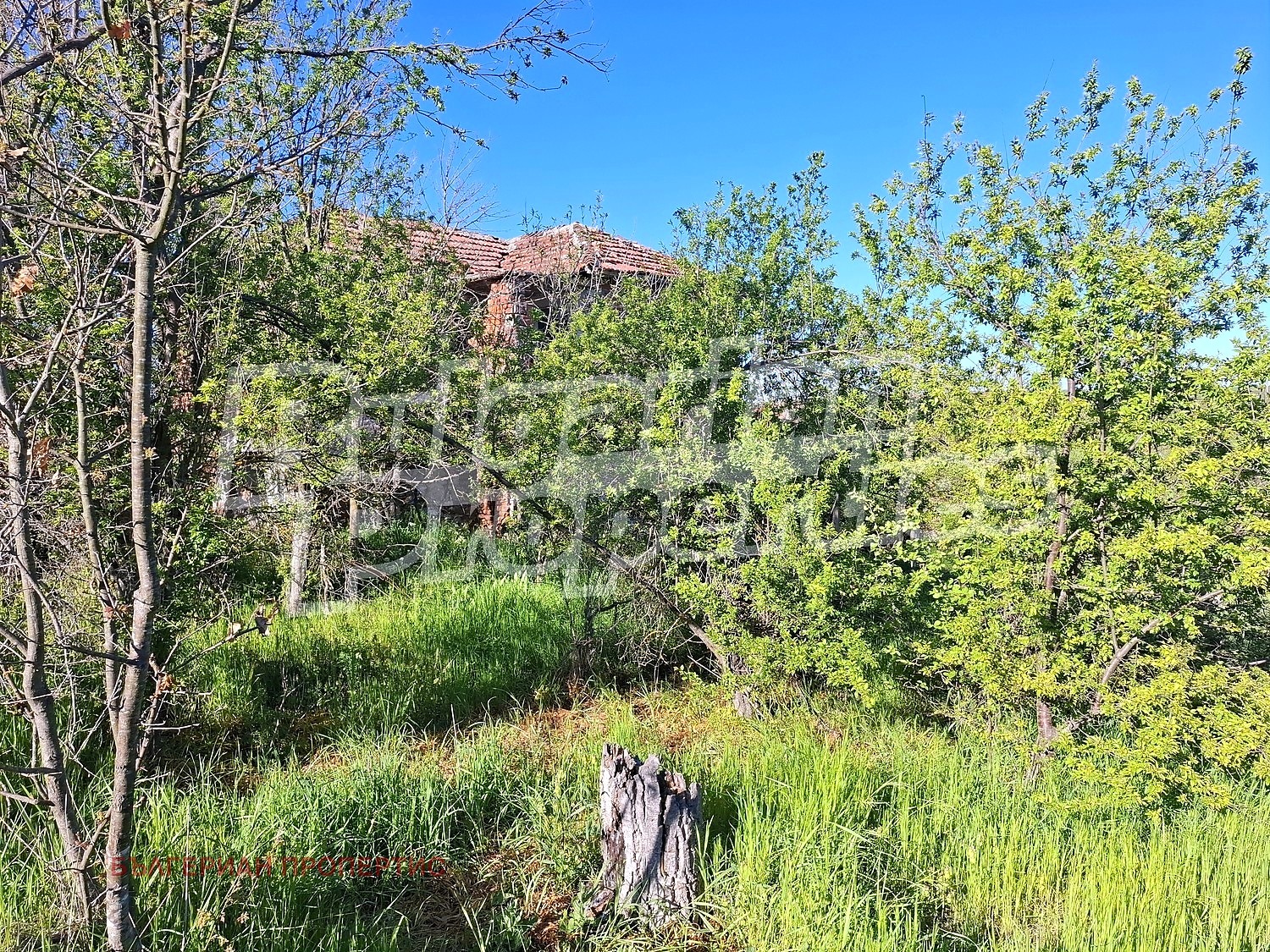 Продава КЪЩА, с. Александрово, област Ямбол, снимка 7 - Къщи - 54814512