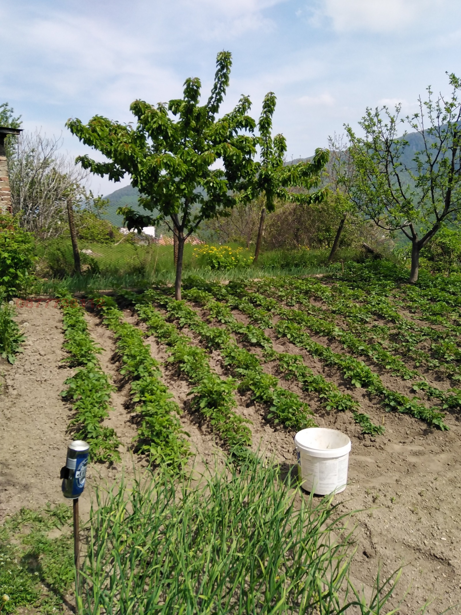 Продава КЪЩА, с. Орешец, област Пловдив, снимка 14 - Къщи - 55147583
