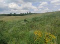 Продава ПАРЦЕЛ, гр. Дебелец, област Велико Търново, снимка 2