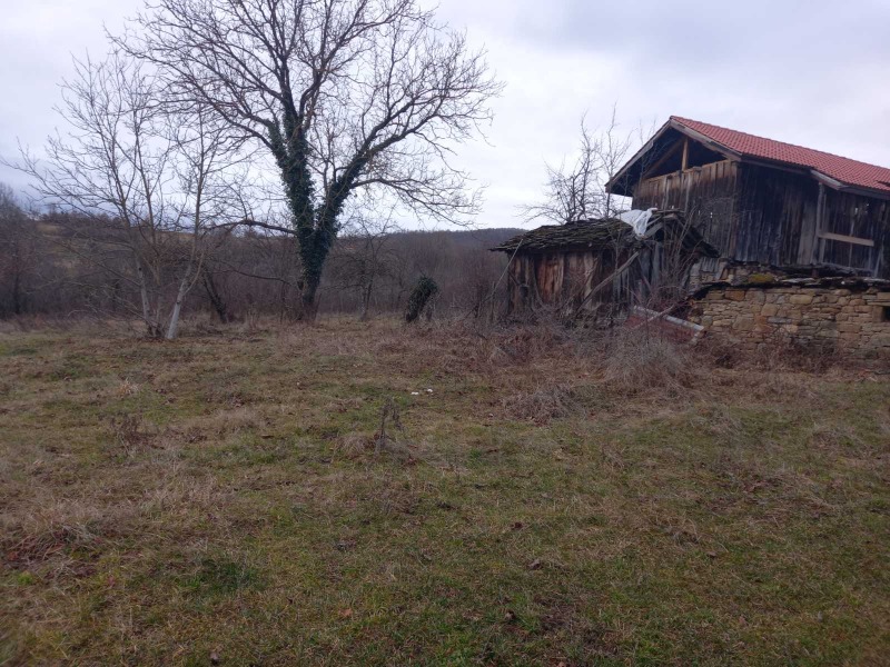 Продава ПАРЦЕЛ в област Ловеч, с. Белиш - 2608 кв.м / 40 000 € » 78 233.20 лв., ХЕМУС КОНСУЛТ ЕООД
