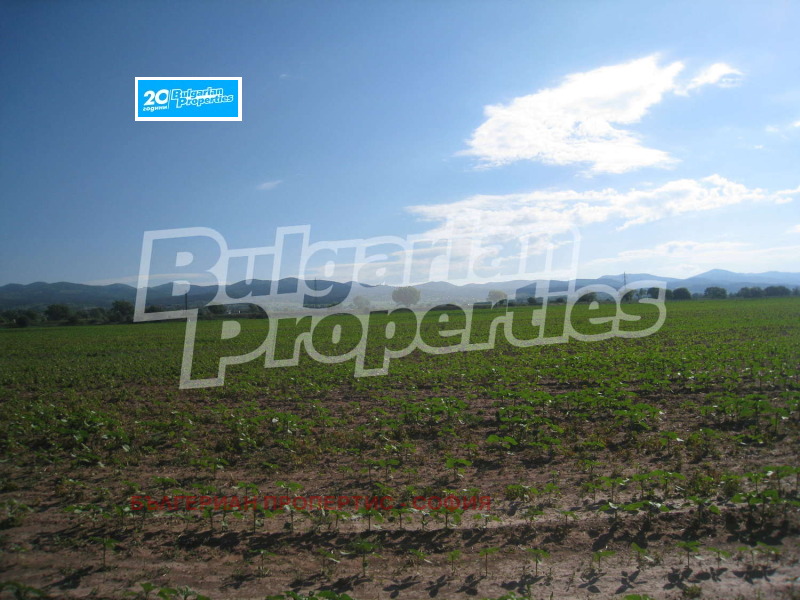 For Sale  Plot Sofia , Svetovrachene , 2336 sq.m | 93882946 - image [4]