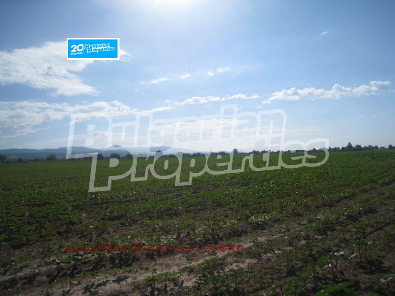 For Sale  Plot Sofia , Svetovrachene , 2336 sq.m | 93882946 - image [3]