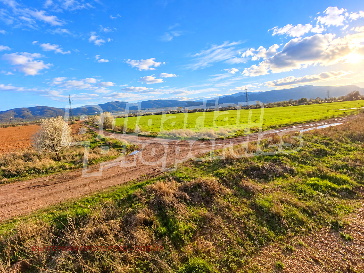 ������� ������ | Imot.bg � ����������� 11
