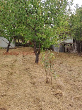 ����� ������� ����,�. �����, ������ �����