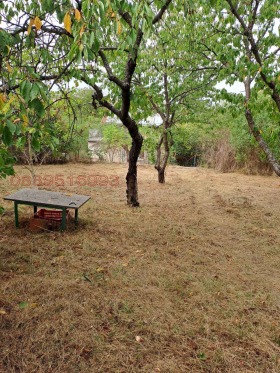 ������� ���� | Imot.bg � ����� ������ 4