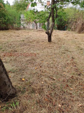 ������� ���� | Imot.bg � ����� ������ 5