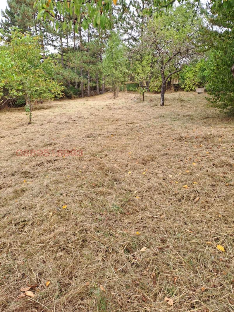 Продава КЪЩА, с. Понор, област София област, снимка 2 - Къщи - 52786328