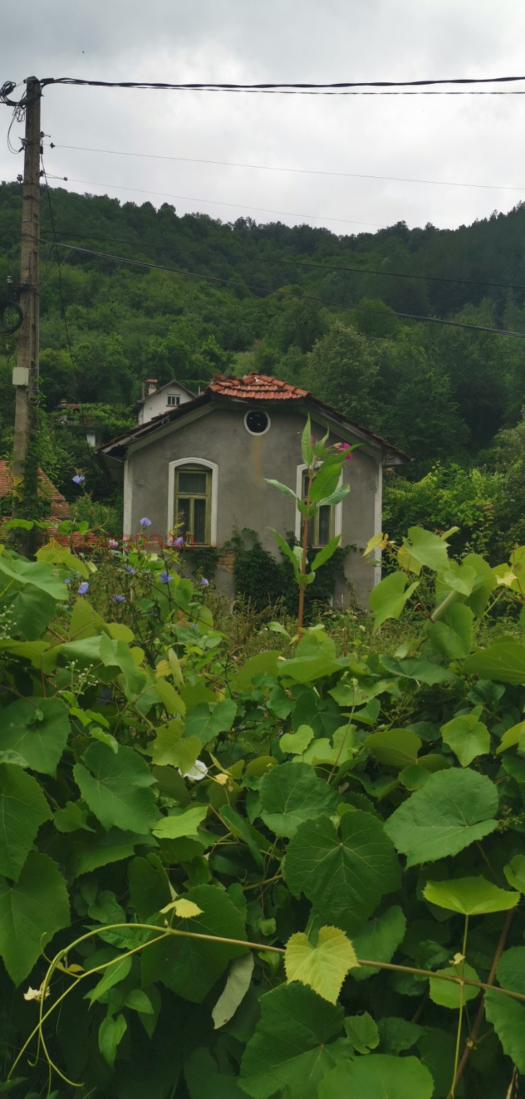 Продава КЪЩА, с. Чифлик, област Ловеч, снимка 3 - Къщи - 52780428