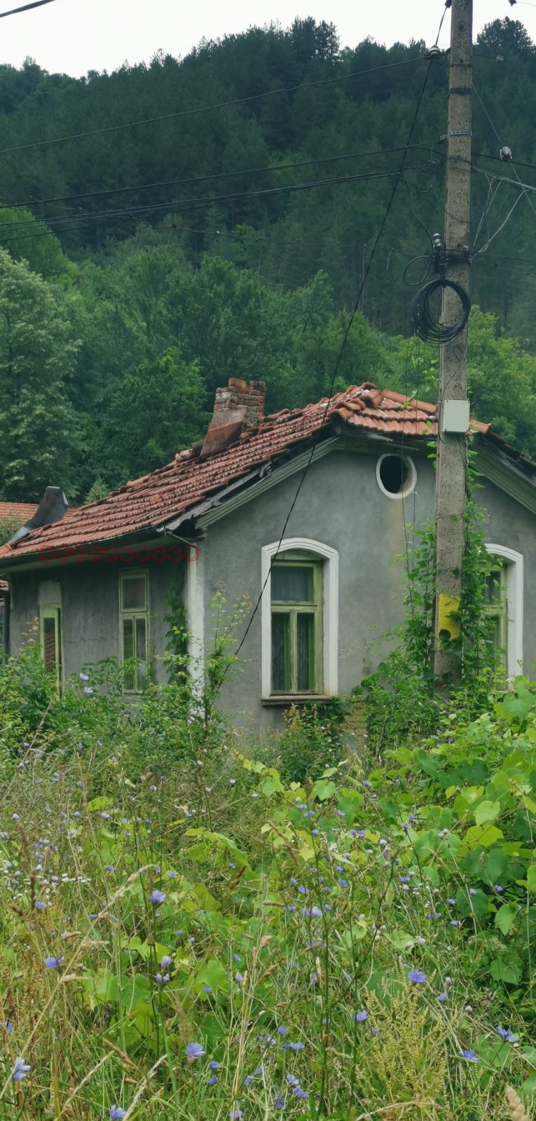 Продава КЪЩА, с. Чифлик, област Ловеч, снимка 5 - Къщи - 52780428