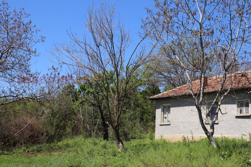 Продава КЪЩА, с. Пчелище, област Велико Търново, снимка 5 - Къщи - 53409220