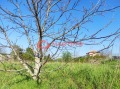 Продава ПАРЦЕЛ, град София, с. Чепинци • 61000 € • 35662703 — Holmes.bg
