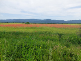 Parcelle Sarnevets, région Stara Zagora 1