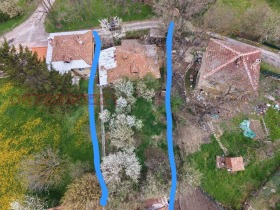 ����� ������� ������,�. ����� �������, ������ �����