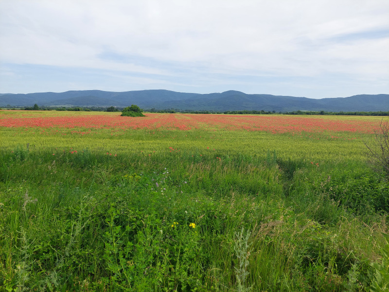 Til salg  Grund region Stara Zagora , Sarnevets , 1320 kvm | 16115469