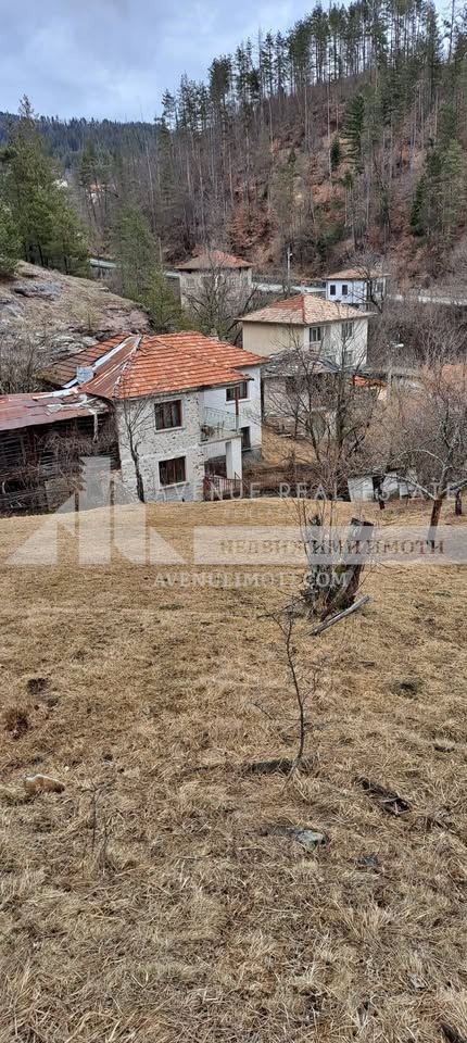 Продава КЪЩА, с. Полковник Серафимово, област Смолян, снимка 5 - Къщи - 56203713
