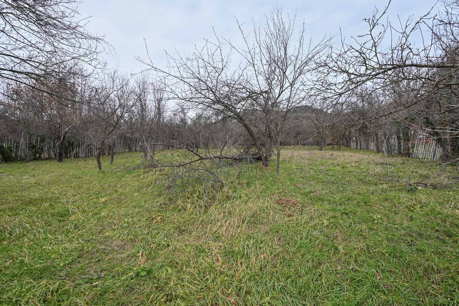 ������� ������ | Imot.bg � ����������� 5