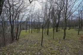 ������� ������ | Imot.bg � ����� ������ 9