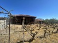 Продава КЪЩА, област Пазарджик, с. Виноградец • 36000 € / 70409.88 лв. • 62046692 3