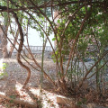 Продава ЕТАЖ ОТ КЪЩА, град Русе, Дружба 2 • 93000 € • 35037228 — Holmes.bg