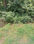 Продава  Парцел област Велико Търново , с. Церова кория , 1045 кв.м | 40521524 - изображение [3]