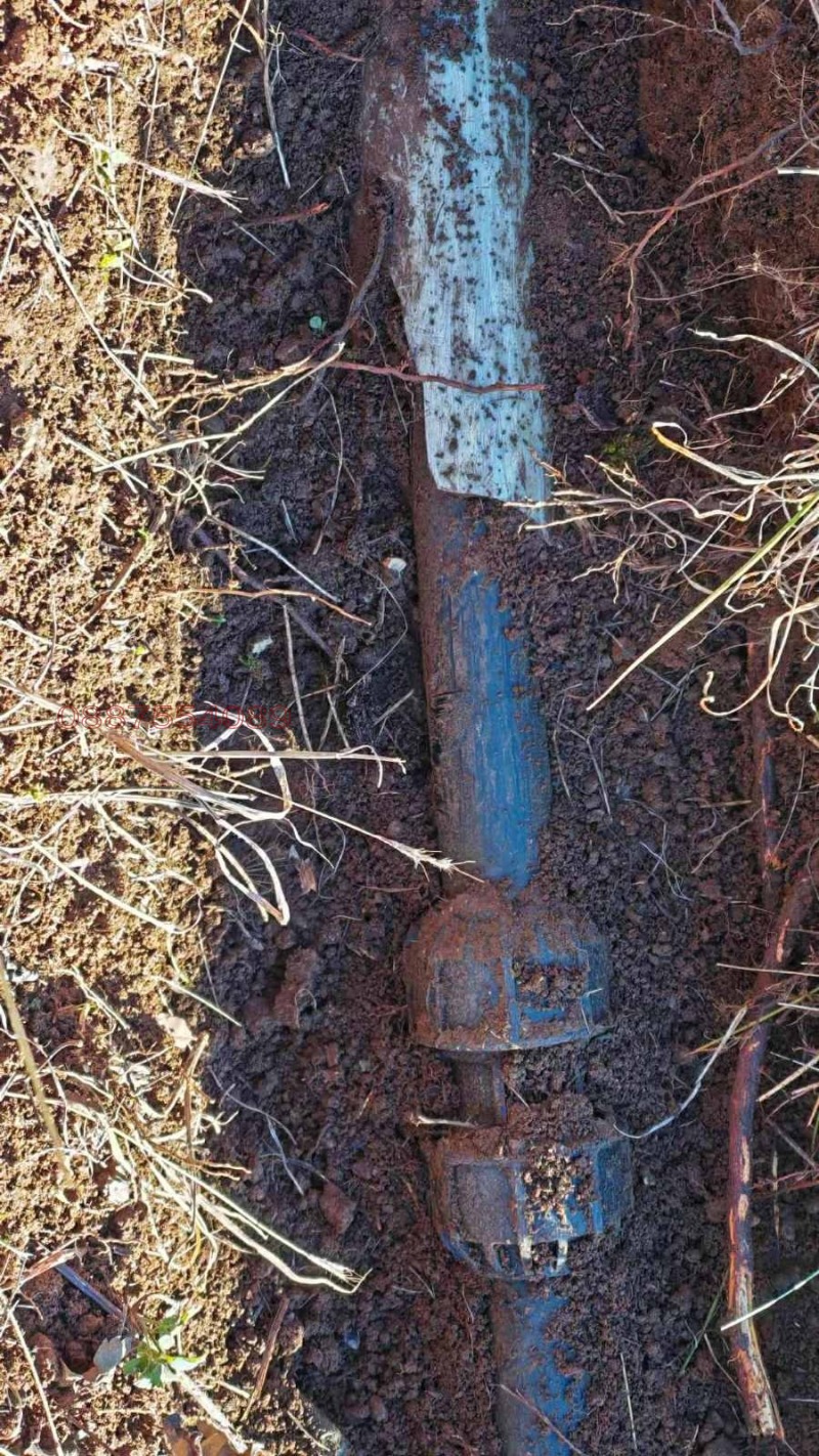 Продава ЗЕМЕДЕЛСКА ЗЕМЯ, с. Селище, област Благоевград, снимка 5 - Земеделска земя - 52784274