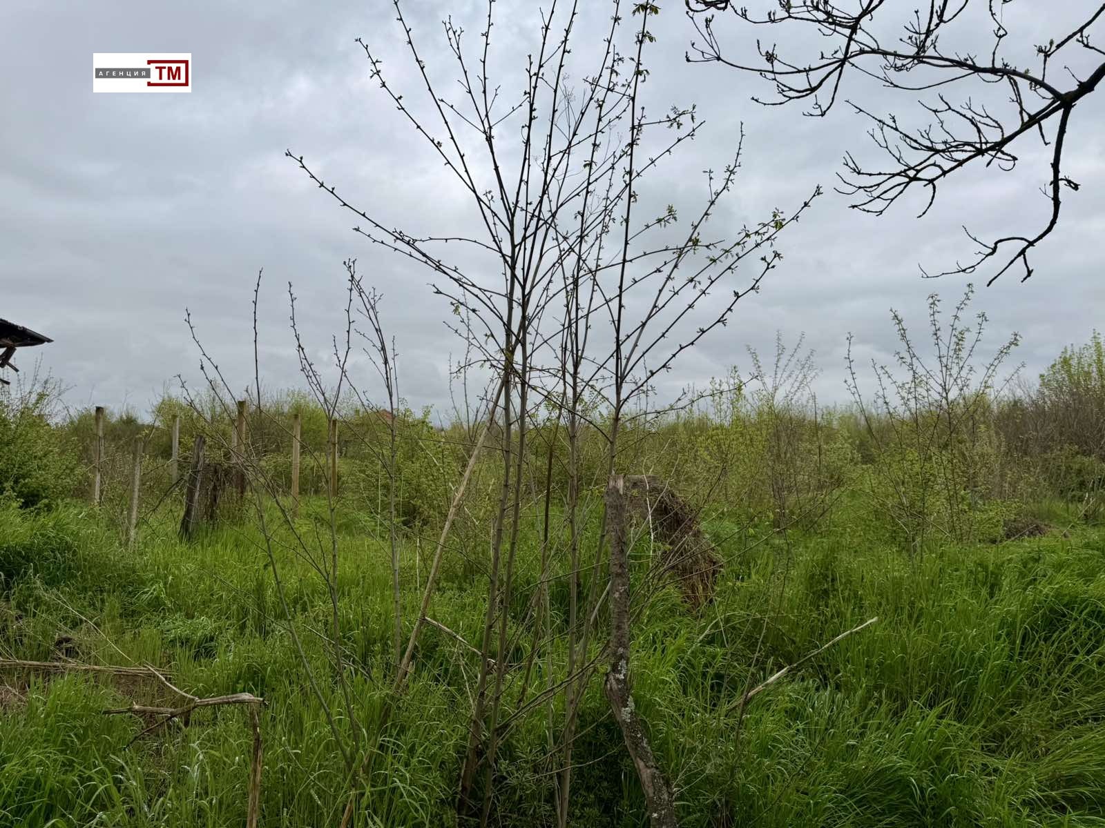 Продава КЪЩА, с. Трънково, област Стара Загора, снимка 3 - Къщи - 54675076