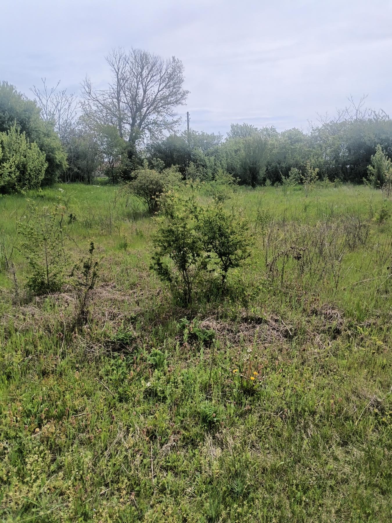 ������� ������ | Imot.bg � ����������� 3