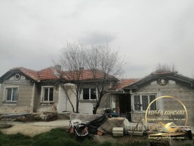 ������ ������� ����