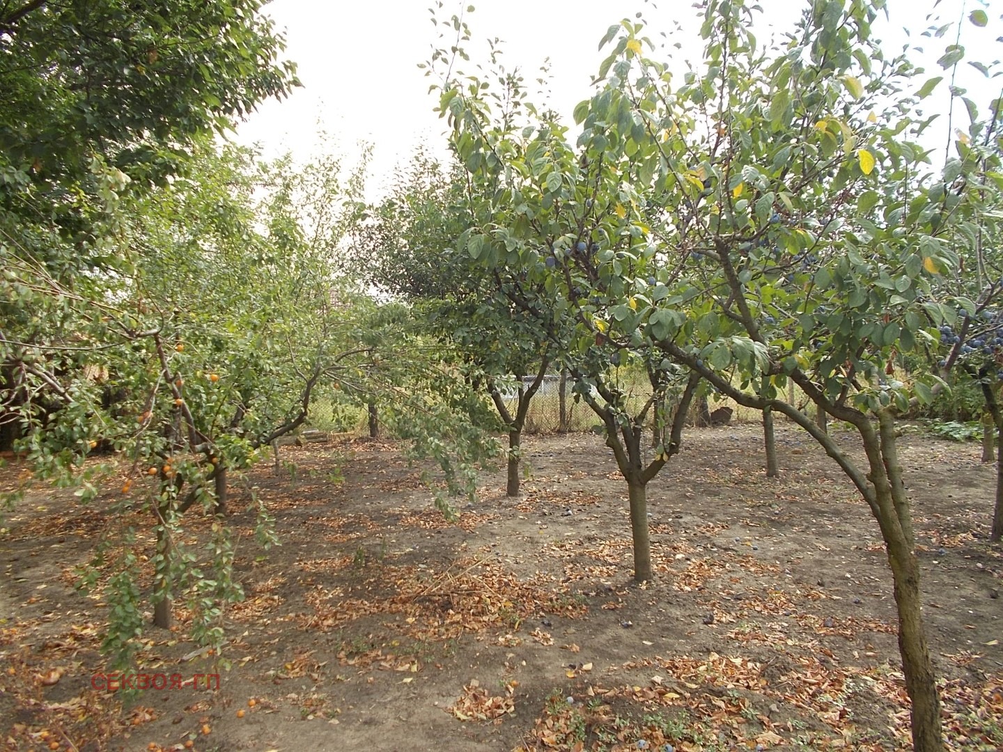 Продава КЪЩА | Imot.bg — изображение 4