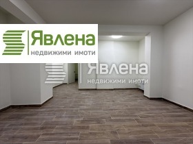 ����� ������� �������,���� �����, ������