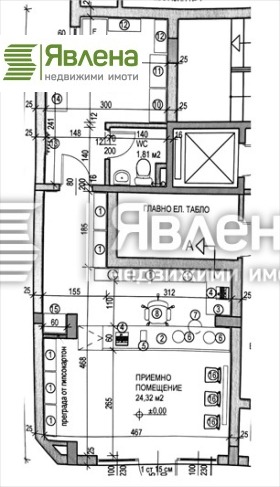 ����� ������� �������,���� �����, ������