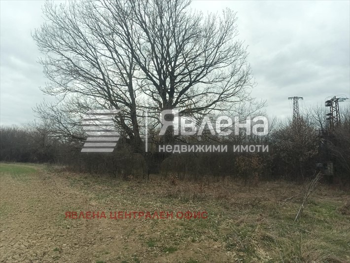 Продава ПАРЦЕЛ, с. Джурово, област София област, снимка 2 - Парцели - 56320361