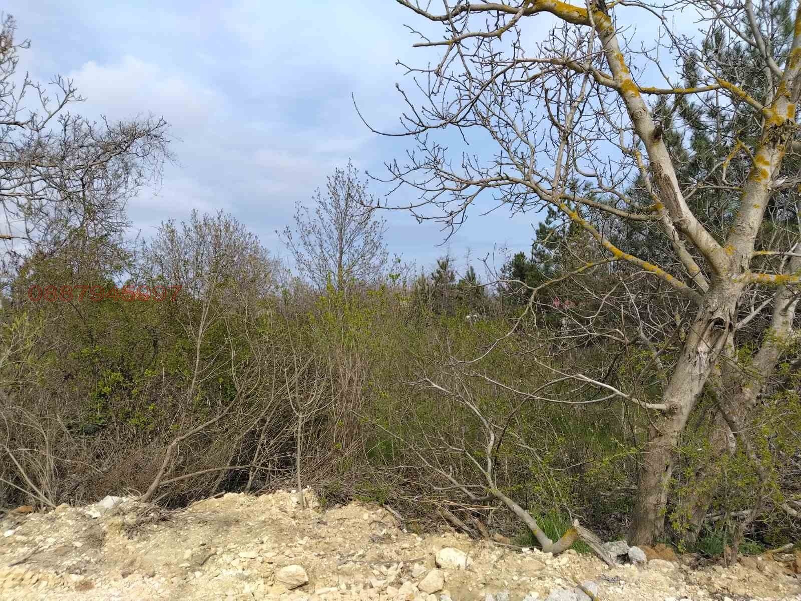 Продава ПАРЦЕЛ, гр. Варна, м-т Манастирски рид, снимка 4 - Парцели - 55014243