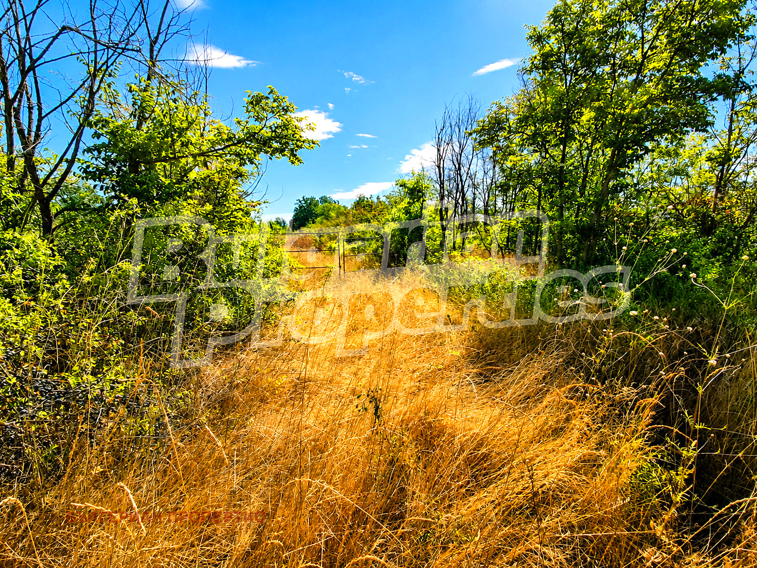 ������� ���������� ���� | Imot.bg � ����������� 3