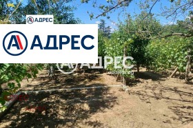 Сюжет Бяла, область Варна